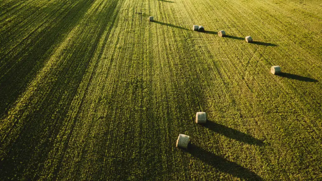 De la ville aux champs : la reconversion agricole, nouveau rêve des citadins