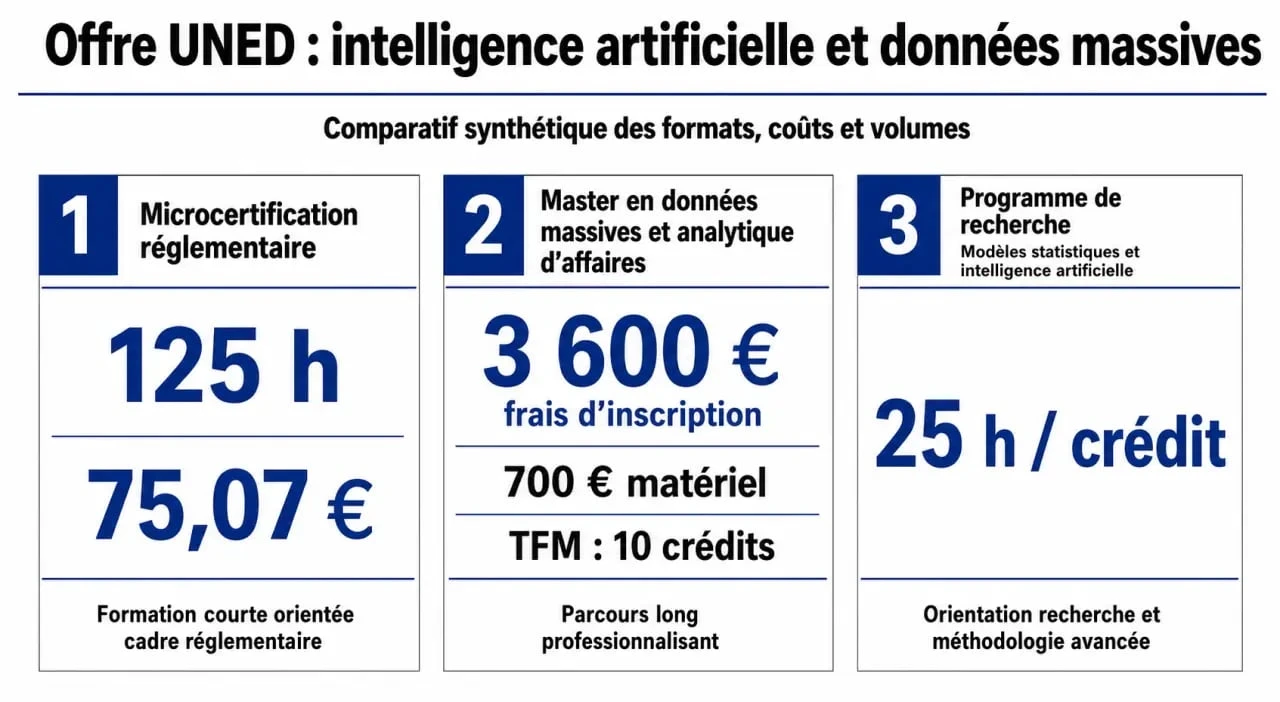 uned curso de especialización en inteligencia artificial y big data: gráfico comparativo de los itinerarios formativos de la UNED